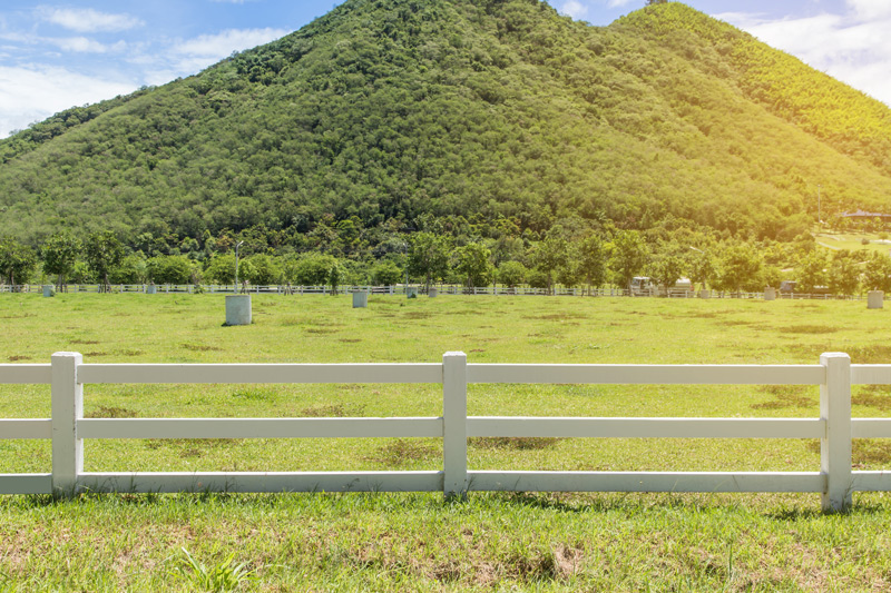 kentucky-field-image